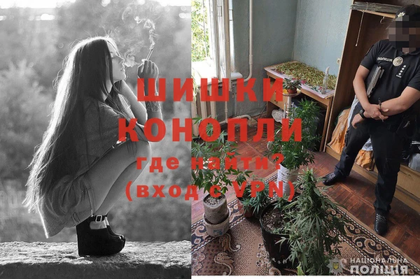 первитин Краснослободск