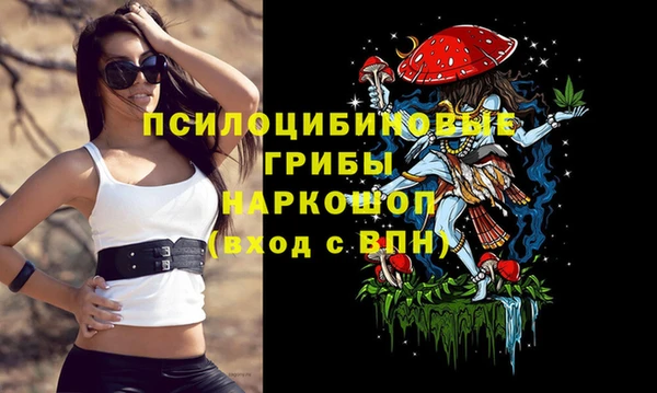 гашик Красноперекопск